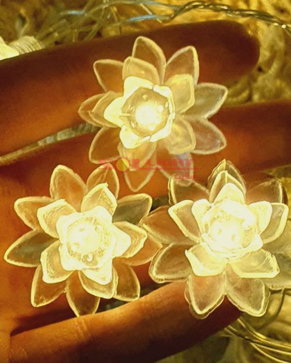 ریسه گل نیلوفر